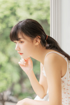 理论动画片
